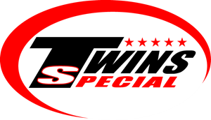 300x172 Twins Special Logo Vector