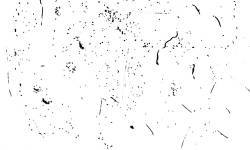 250x150 Black Speckle Texture Vector Material