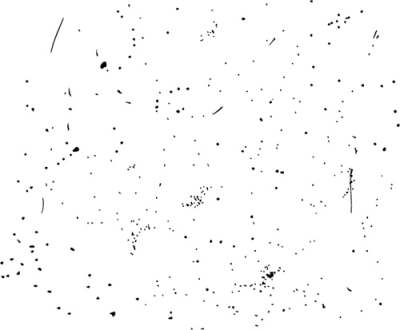 400x330 Speckle Png