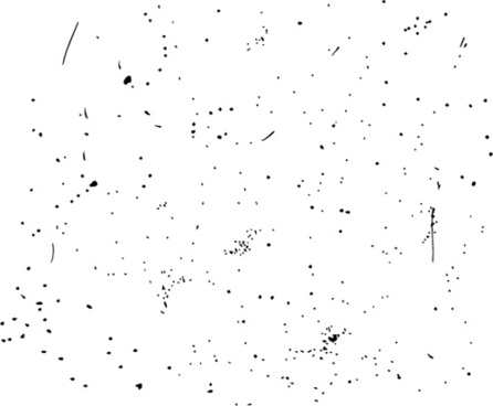 446x368 Speckle Free Vector Download