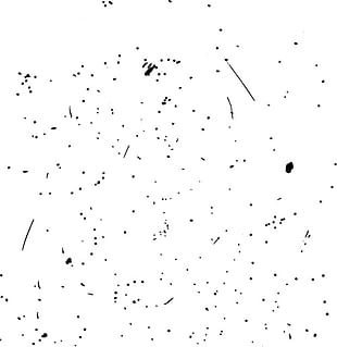 310x319 Black Speckle Texture Vector Free Graphics Uihere