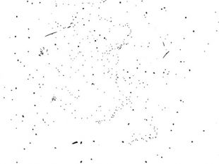 310x233 Black Speckle Texture Vector Material Free Vectors Ui Download