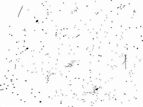 474x355 Speckled Texture Vector Gtgt