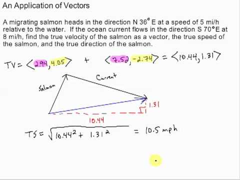 480x360 Vector Application