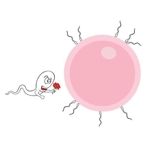 Polite Sperm Vector 490x490 Polite Sperm Vector