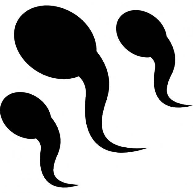 Sperm Icon 626x626 Sperm Icon