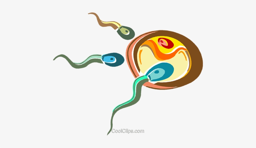 Sperm Vector Happy 820x476 Sperm Vector Happy