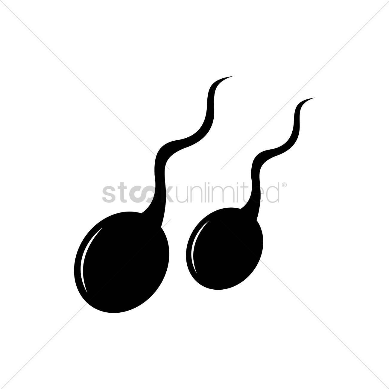 Sperm Vector Image 1300x1300 Sperm Vector Image