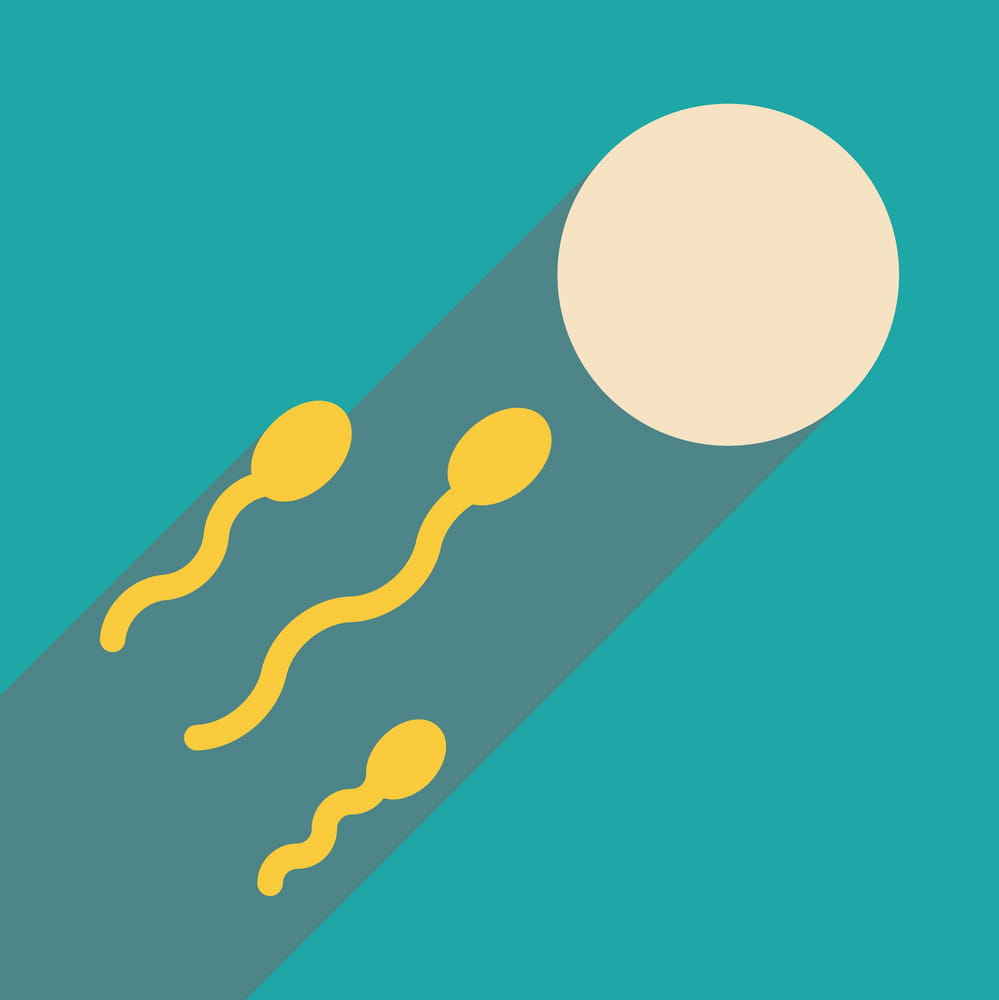 Flat Icon With Long Shadow Sperm And Egg Vector 999x1000 Flat Icon With Long Shadow Sperm And Egg Vector