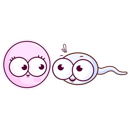 Human Egg Cell And Sperm Vector Cartoon Illustration 450x450 Human Egg Cell And Sperm Vector Cartoon Illustration