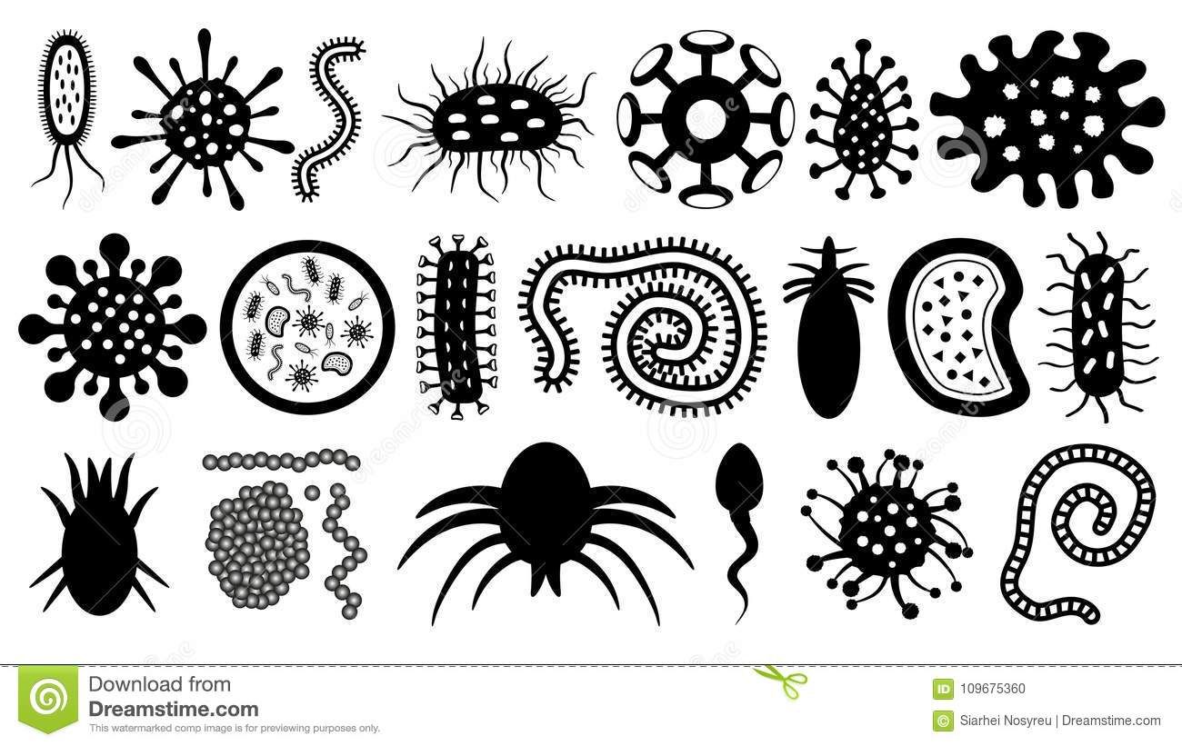 Microbe, Parasite, Bacterium, Worm, Virus, Sperm, Vector 1300x821 Microbe, Parasite, Bacterium, Worm, Virus, Sperm, Vector