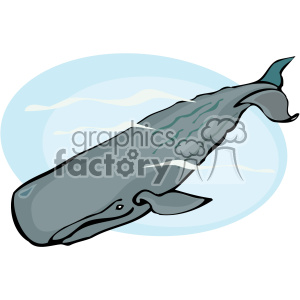 Sperm Whale Vector