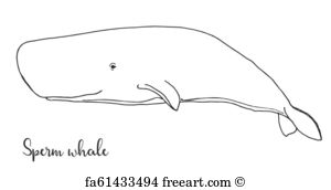 300x172 Free Sperm Whale Vector Art Prints And Wall Artwork Freeart