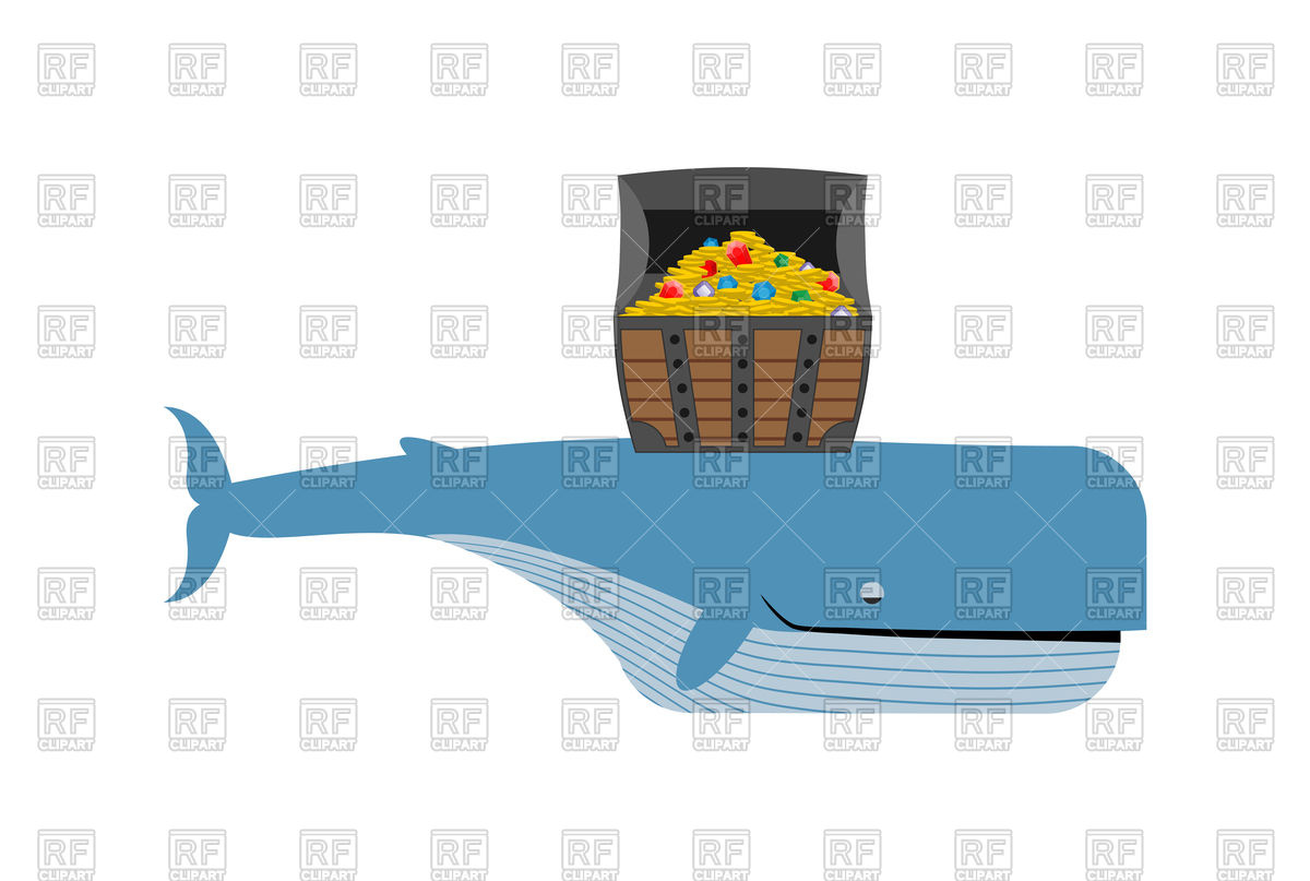 1200x807 Sperm Whale And Pirate Treasure Vector Image Of Plants And Animals