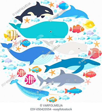 430x471 Sperm Whale Icon Stock Photos And Images Age Fotostock