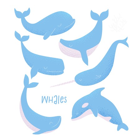 450x450 Vector Card With Blue Whale, Sperm Whale, Narwhal, Killer Whale