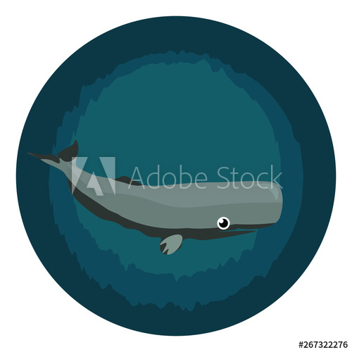 500x500 Image Of Cachalot