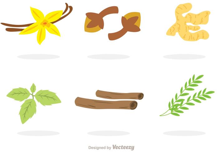 Collection Of Spices Vectors 700x490 Collection Of Spices Vectors