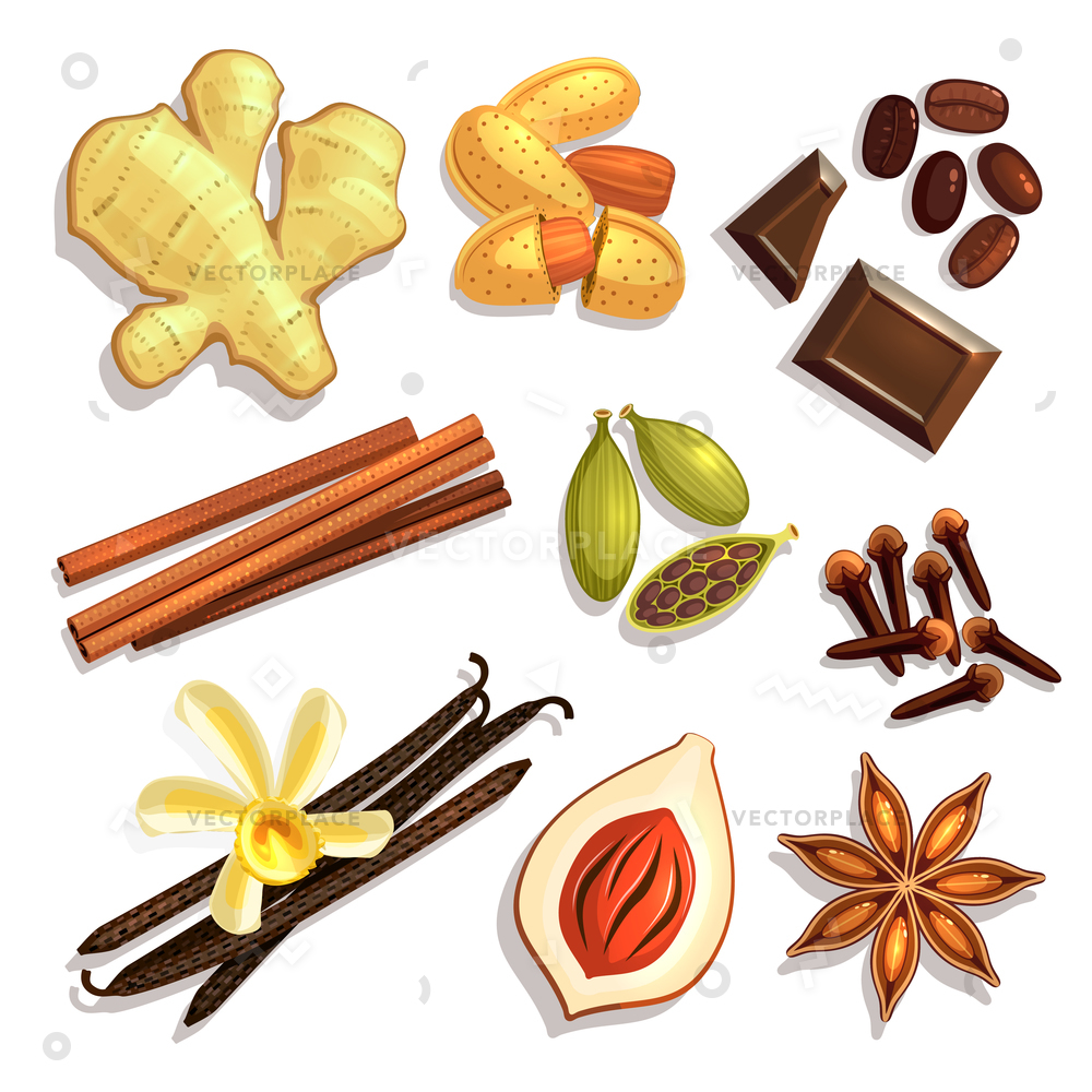 Set Gourmet Coffee Spices Vector Illustration 1000x1000 Set Gourmet Coffee Spices Vector Illustration