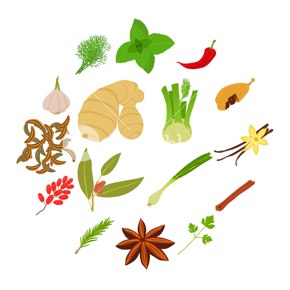 Spices Craft Icons Set Cartoon Illustration Of Spices Vector 1000x1000 Spices Craft Icons Set Cartoon Illustration Of Spices Vector