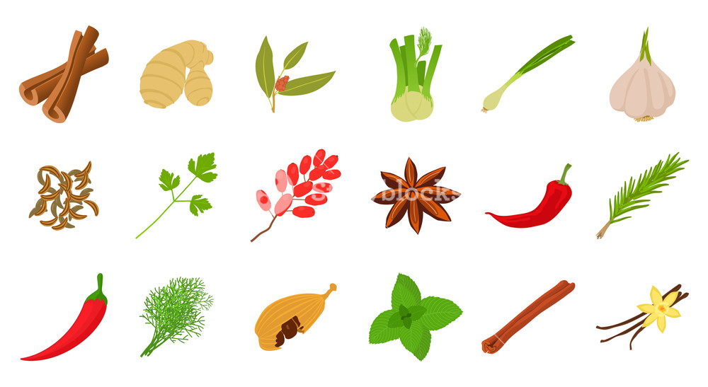 Spices Icon Set Cartoon Set Of Spices Vector Icons For Web Design 1000x547 Spices Icon Set Cartoon Set Of Spices Vector Icons For Web Design