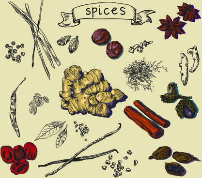 Spices Vector Free Vector Download 417x368 Spices Vector Free Vector Download