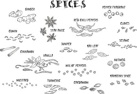 Vector Icons Hand Drawn Spices Made In Stock Vectors 439x300 Vector Icons Hand Drawn Spices Made In Stock Vectors