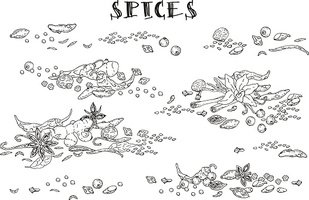 Vector Icons Hand Drawn Spices Made In Stock Vectors 309x200 Vector Icons Hand Drawn Spices Made In Stock Vectors