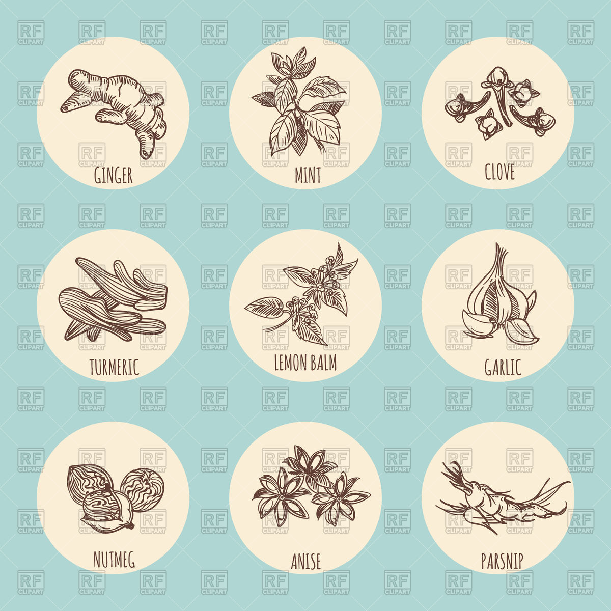 Vintage Style Icons With Popular Hand Drawn Spices Vector Image 1200x1200 Vintage Style Icons With Popular Hand Drawn Spices Vector Image