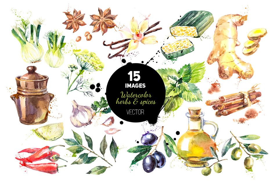 Watercolor Herbs And Spices Vector Set 940x626 Watercolor Herbs And Spices Vector Set