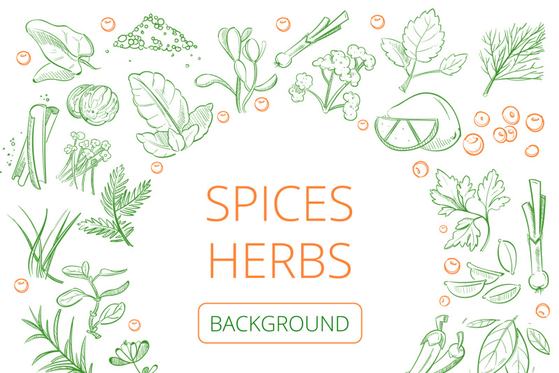 Hand Drawn Herbs And Spices Vector Healthy Natural Plants 800x533 Hand Drawn Herbs And Spices Vector Healthy Natural Plants