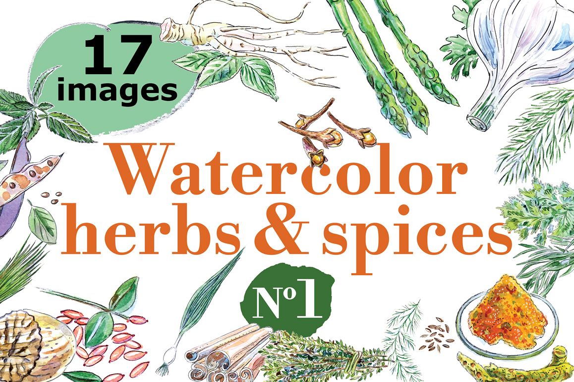 Watercolor Spices Vector Set 1158x772 Watercolor Spices Vector Set