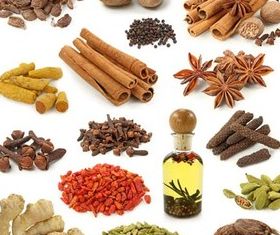 Spices Vector 280x235 Spices Vector