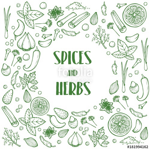 Hand Drawn Herbs And Spices Vector Healthy Natural Plants On White 500x500 Hand Drawn Herbs And Spices Vector Healthy Natural Plants On White