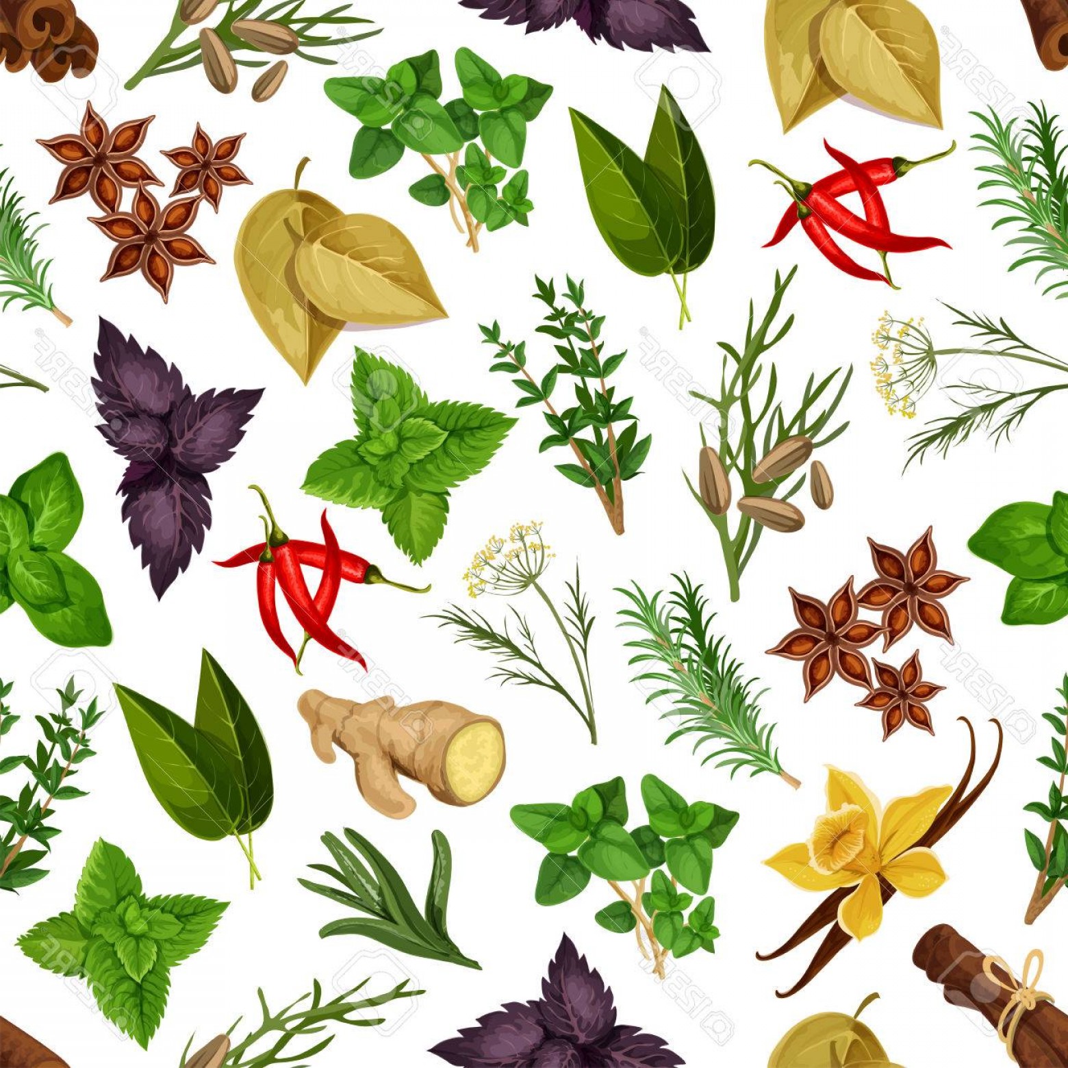 Photostock Vector Spicy Herbs And Herbal Spices Vector Seamless 1560x1560 Photostock Vector Spicy Herbs And Herbal Spices Vector Seamless