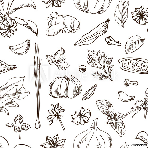Seamless Pattern With Aromatic Plants Sketch Hand Drawn Herbs 500x500 Seamless Pattern With Aromatic Plants Sketch Hand Drawn Herbs
