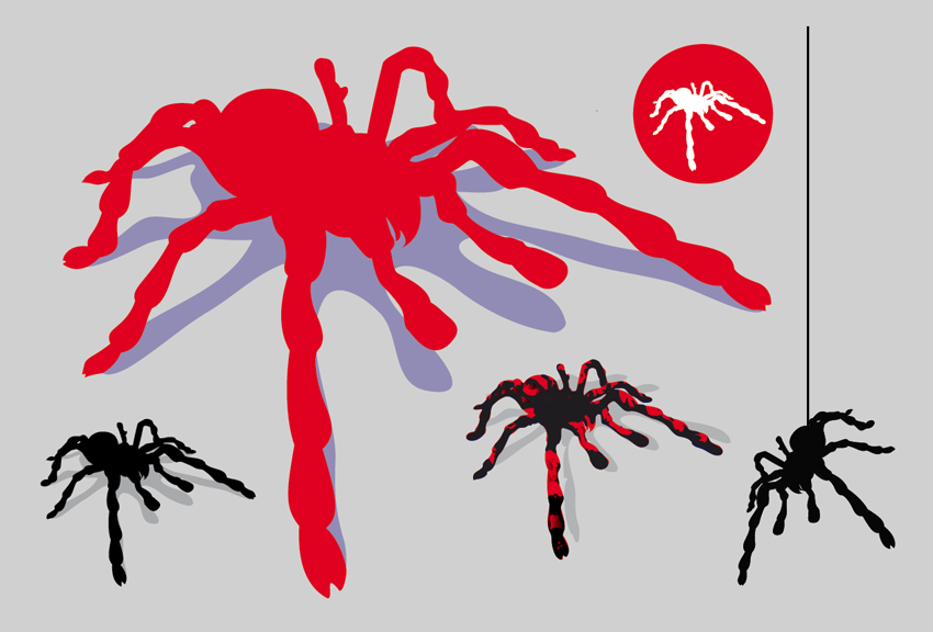 850x576 Scary Spider Vector Graphics