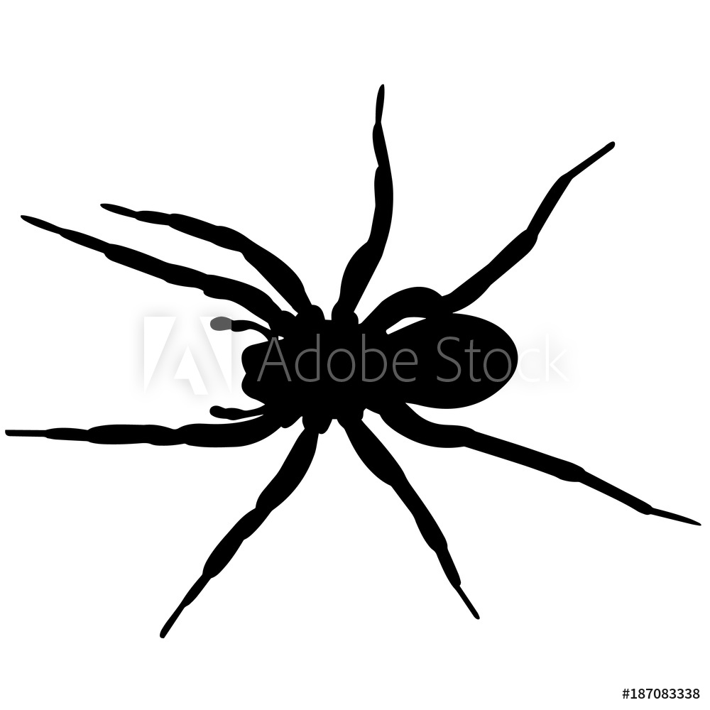 1000x1000 Photo Art Print Spider Silhouette Vector Graphics Europosters
