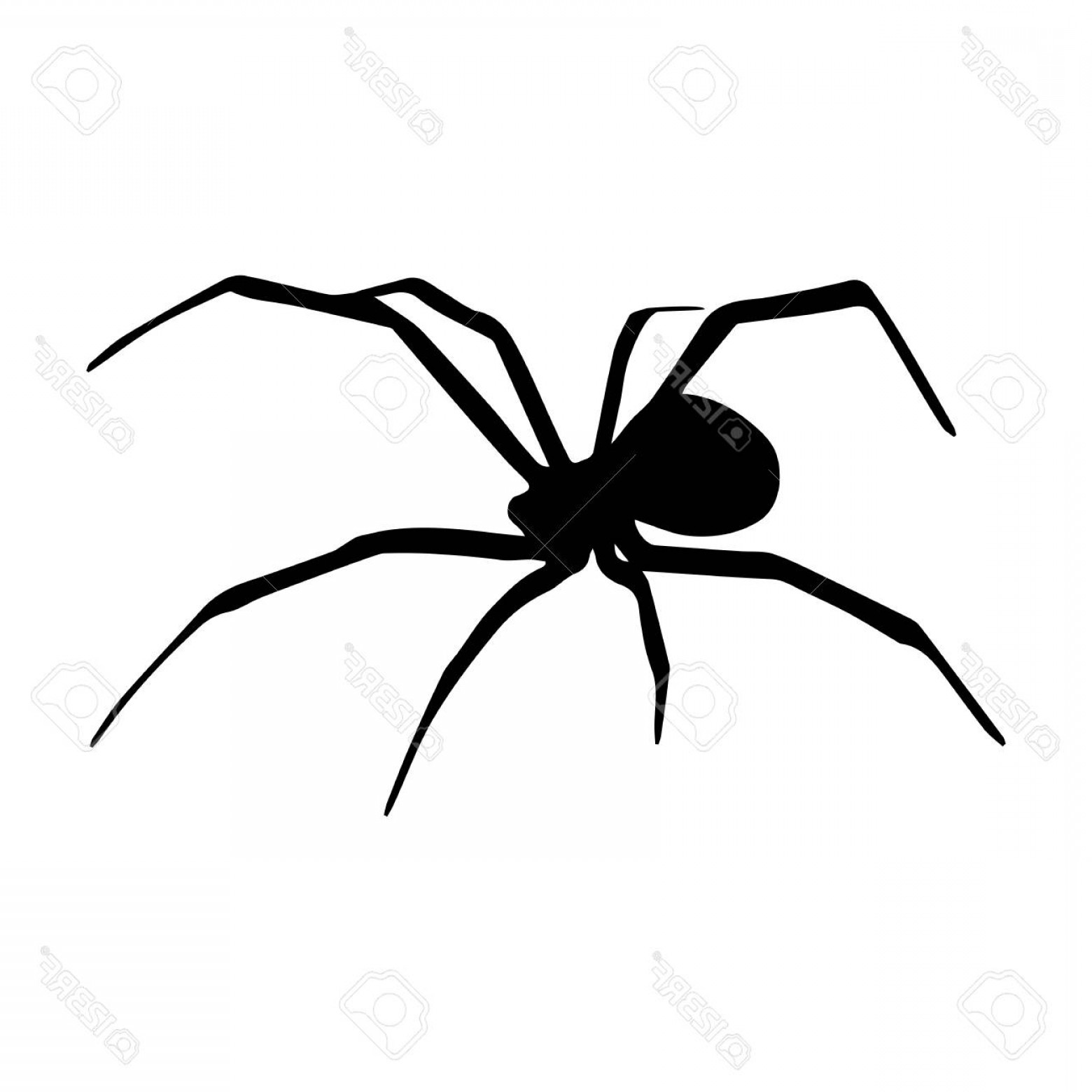 1560x1560 Photostock Vector Spider Silhouette Icon Symbol Design Vector