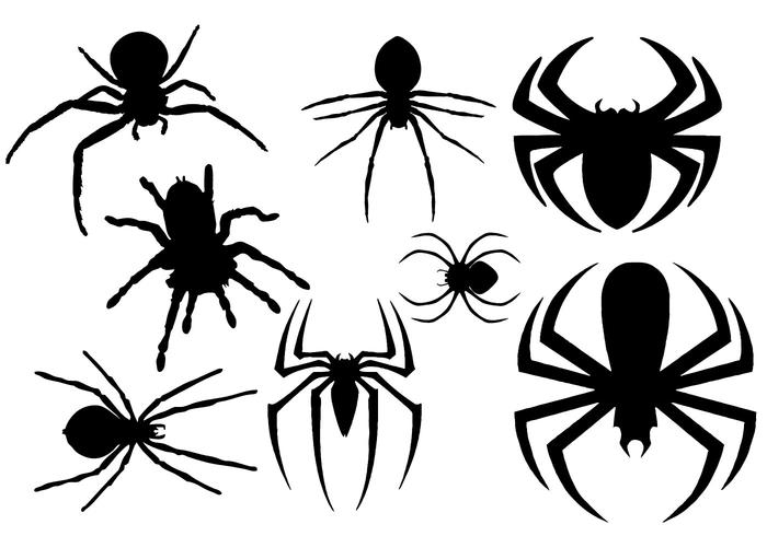 700x490 Spider Free Vector Art