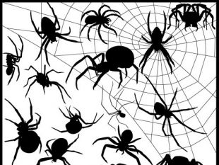 310x233 Spider Silhouette Free Vector Free Vectors Ui Download