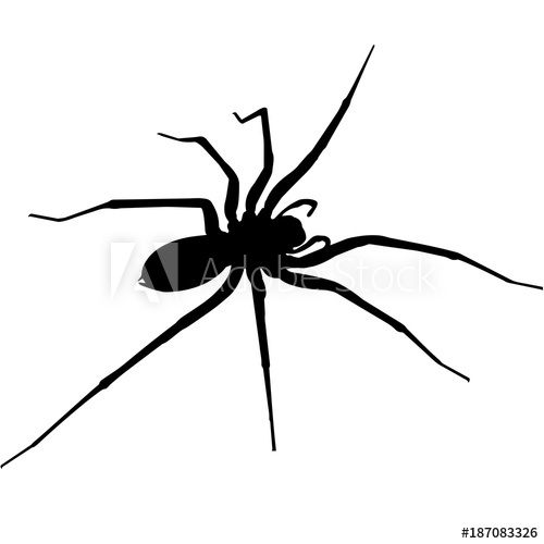 500x500 Spider Silhouette Vector Graphics