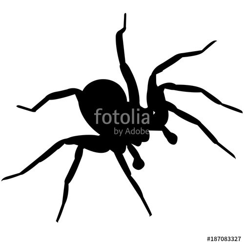 500x500 Spider Silhouette Vector Graphics Stock Image And Royalty Free