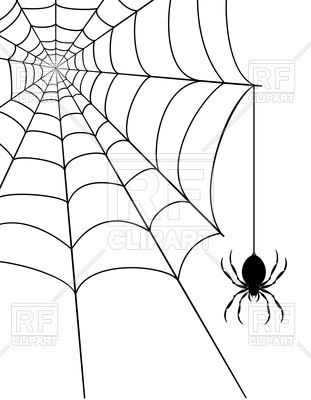 311x400 Spider And Spider Web On White Background Vector Image