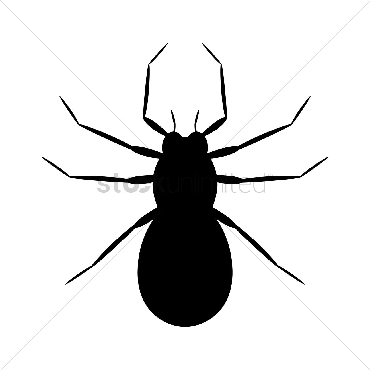 1300x1300 Spider Silhouette Vector Image