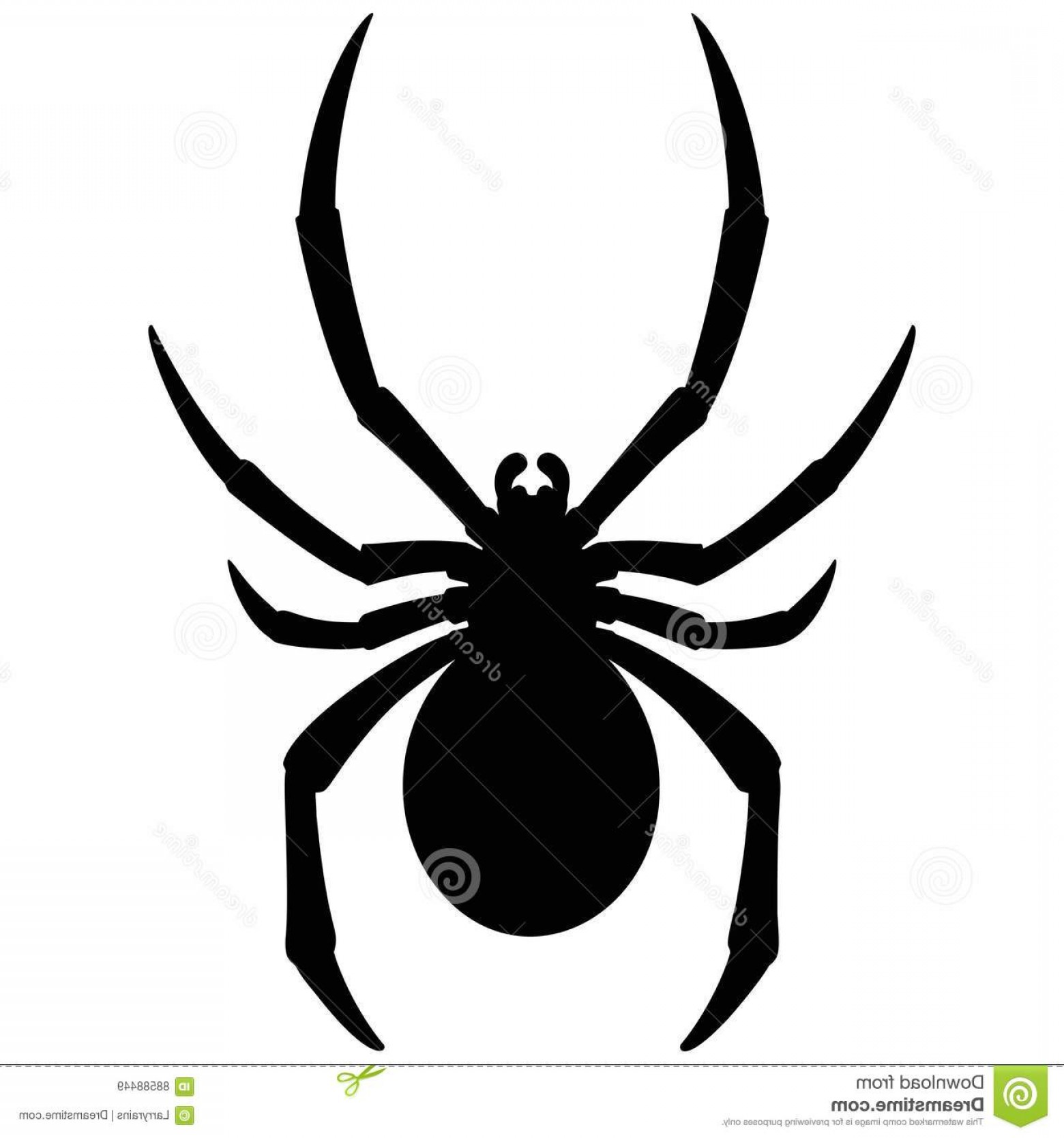 1560x1668 Stock Illustration Black Widow Silhouette Vector Illustration