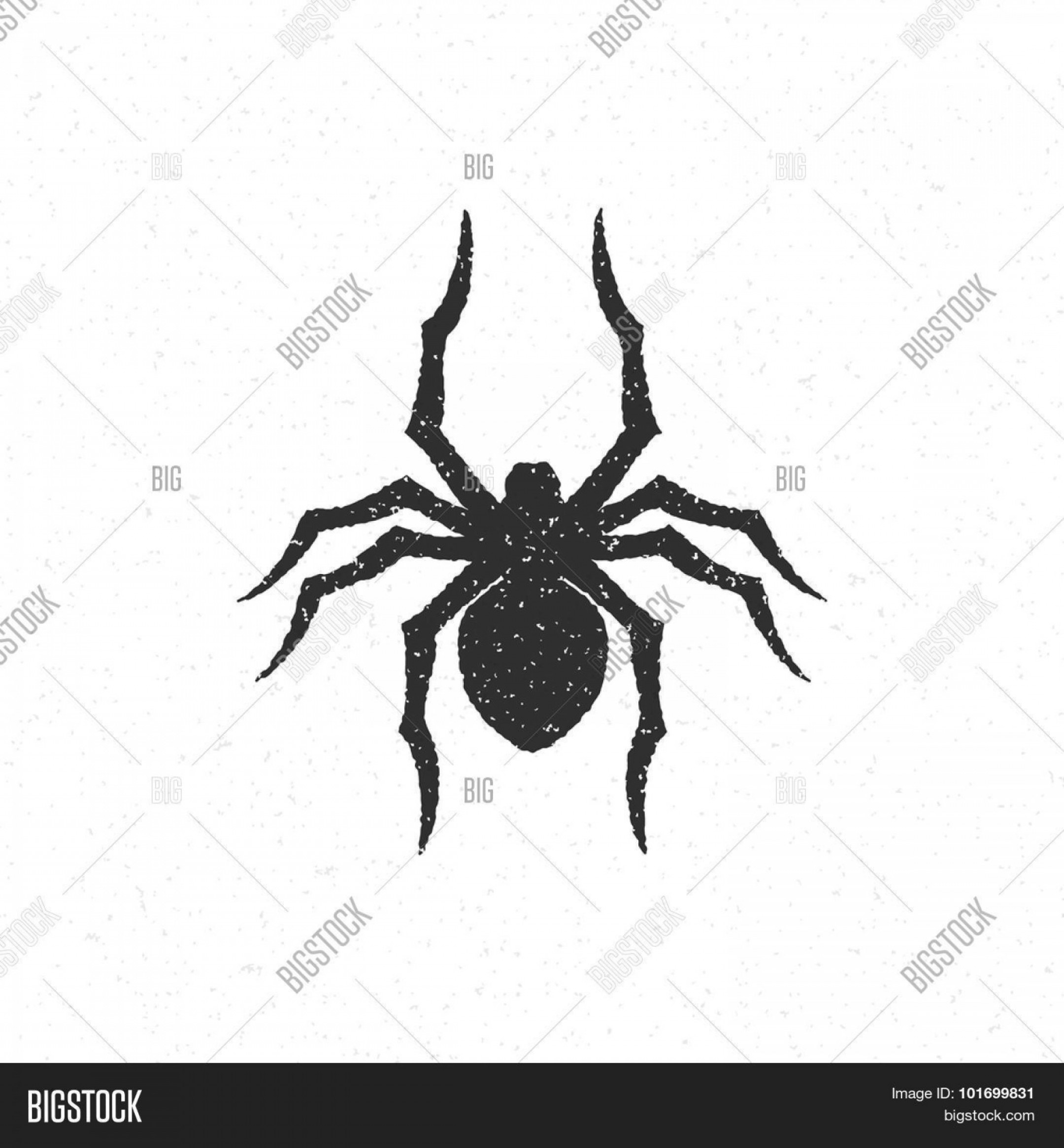 2160x2332 Stock Vector Halloween Silhouette Mystery Spider Hand Drawn Vector
