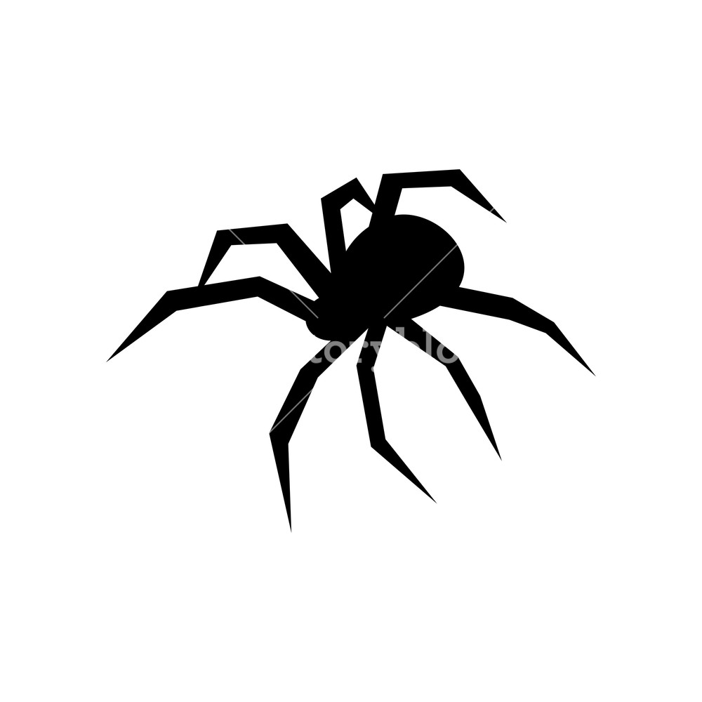 1000x1000 Black Spider Vector Silhouette Black Widow Isolated On White