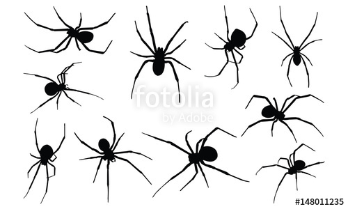 500x300 Black Widow Spider Silhouette Vector Illustration Stock Image
