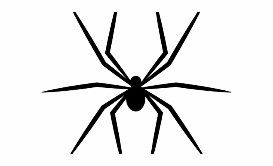 920x560 Spider Clipart Arthropod